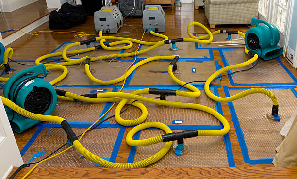 Professional Sewage Cleanup technician working in Plainview, TN